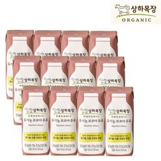 상하목장 유기농 코코아 우유, 125ml, 12팩