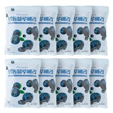 당도높은 무첨가 100% 냉동블루베리 1KG, 1kg(중국), 10개