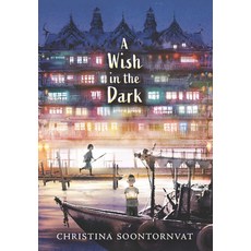 A Wish in the Dark Library Binding, Thorndike Striving Reader, English, 9781432888268