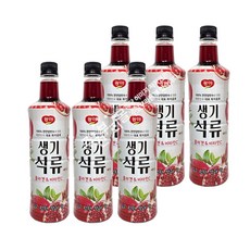 광야생기석류베이스970ml, 970ml, 6개