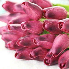 Kinos 식물인테리어 튤립 조화 체리핑크