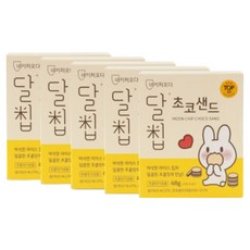 네이처오다 달칩 초코샌드, 48g, 5개