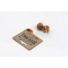 식물키우기 씨드볼 방울토마토 어린이재배 원예체험 체험학습