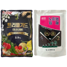 50평용 배추 뿌리혹병 노피엠입제(1kg) 트리플가드(2.5kg) 역병 시들음병 양파마늘 흑색썩음균핵병 스마트한농부, 1개