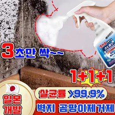 [신제품] 베이리인스 곰팡이 제거제 벽지 곰팡이제거제 초강력 곰팡이제거제 욕실 화장실 곰팡이제거제 다기능 뿌리는 곰팡이 제거 스프레이 베란다 집 벽 곰팡이제거제, 3개, 430ml