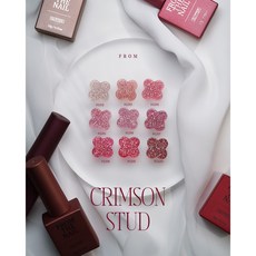 프롬더네일 크림슨스터드 9종세트 글리터젤, 1개