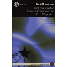 (영문도서) The Long Transition Towards Socialism and the End of Capitalism Paperback, Iskra Books, English, 9798330404315