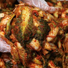 김치명인도 사서 비벼먹는 봄동 겉절이, 1박스, 1kg