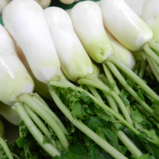 [굿피플] 절임알타리무 알타리무 국내산 알타리 총각무, 1개, 절임 알타리 10kg