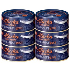 동원 알래스카연어 살코기 통조림 100g, 6개