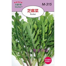 天星牌 芝麻菜 Rocket 火箭菜 種子, 1包
