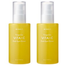와이즐리 비타C 잡티 케어 대용량 세럼, 2개, 90ml