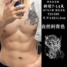草本果汁紋身貼紙 漸黑效果 安全無刺激, 1個, T23-286神龍14X11.5