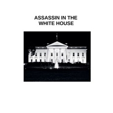 (영문도서)Assassin in The White House Paperback, Daire Guiney, English, 9798223674511