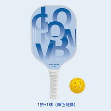 VIGOBON 匹克球拍 YS-20a 輕巧靈活入門進階運動必備, 1個, A款單拍