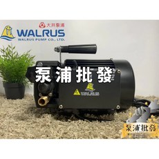 泵浦批發 活動優惠 標準配件 大井噴霧機 TH-250P TH-400P 洗車 園藝澆花 管路試壓抓漏 TH400P, 1個, TH-250P (1/3 HP),附發票.請備註統編