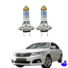 BS 로체 할로겐 H7 전조등 차량용전구 차량전조등, 1개