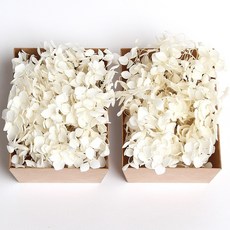 화연양화 톤온톤 박스 수국 2개입 프리저브드플라워 시들지않는생화, 01 퓨어화이트