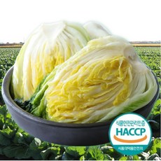 HACCP인증 해남 아삭아삭 절임배추 김장준비예약 도착일 입력 절인배추, 20kg, 1박스, 받고 싶은신날 입력