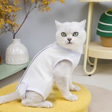 貓咪絕育服 術後恢復服 防舔斷奶護肚衣