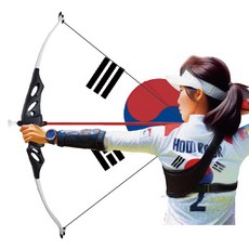 금메달 어드벤쳐 클래식 양궁다트, 혼합색상, 1개