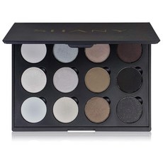 Shany 12 컬러 아이섀도우 팔레트 170g, 1개