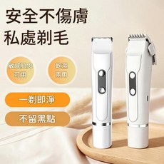 雙頭電動脫毛儀 安全不傷膚 乾濕兩用 敏感肌適用, X2601白色電動雙頭相容快充, 電動剃毛刀
