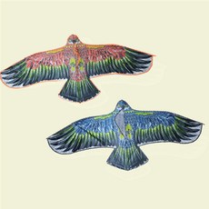 어린이장난감 독수리 디자인 야외 카이트 쓱템, 1개