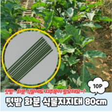농사 작물 화분 텃밭 오이 고추 식물 지지대 80cm, 10개
