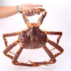 수율 보장 하이바다 킹크랩 레드 블루 브라운 시세 택배 찜, 1개, 러시아 자숙 레드킹크랩 4kg
