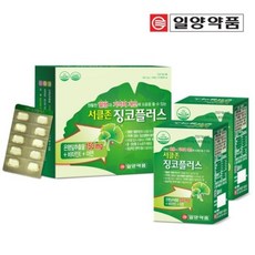 일양 비타민E 아연 혈행 기억력 개선 징코플러스 120정 셀레늄, 60회분, 2개
