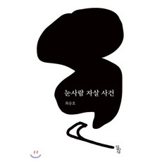눈사람 자살 사건, 최승호 저, 달아실