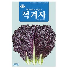 적겨자 씨앗 겨자씨 2000립, 5개
