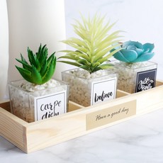 미니 조화 다육식물 3종 세트, 혼합색상, 1세트