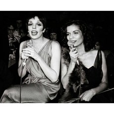 리자 미넬리 비앙카 자거 1978년 사진 아담 스컬 촬영 포스터 프린트 8 x 10, 리자 미넬리 비앙카 자거 1978년 사진 아담 스컬 촬