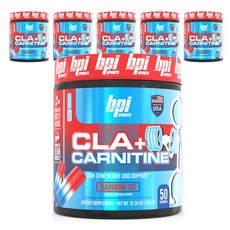 비피아이스포츠 CLA + 카르니틴 레인보우 아이스, 350g, 6개