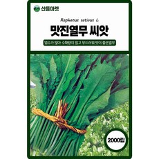 세계종묘 맛진 열무 씨앗 2000립 환엽계 열무씨 종자, 4개