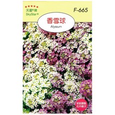 天星牌 SkyStar 香雪球花卉種子 F-665, 1個