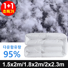 1+1 거위털 이불 95% 따뜻함 편안한 가벼운 통기성 볼륨 구스이불 한겨울용 거위털 이불 겨울이불, (1+1개)화이트