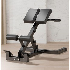 홈트 운동기구 백익스텐션 머신 코어 햄스트링 강화 홈짐 허리 복근 척추, 디럭스 - 가정용 접이식, 1. 디럭스 접이식