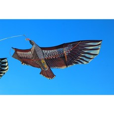 3.3米 老鷹風箏，格子布、樹酯桿與玻璃纖維, 詳見包裝