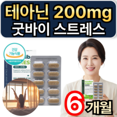 테아닌 200mg 스트레스영양제 굿바이 스트레스 L테아닌 홍경천 마그네슘 추출물 휘게라이프, 3개, 60정