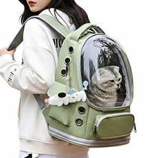 퍼피허그 Bubble 투명 우주선 강아지 백팩 산책가방 이동 가방 고양이 애견 기내용 컨넬 배낭, 1개, 라임 그린