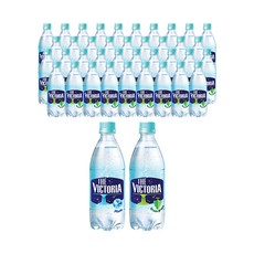 더 빅토리아 탄산음료 플레인 + 청포도향, 40개, 500ml
