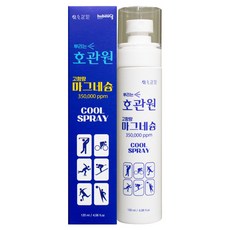 호관원 뿌리는 마그네슘 스프레이 120ml, 1개, 1개입