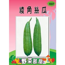 野菜部屋 K07 長青絲瓜種子 澎湖絲瓜 泰國進口F1品種, 1包
