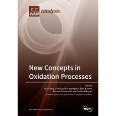 (영문도서)New Concepts in Oxidation Processes Paperback, Mdpi AG, English, 9783039281602