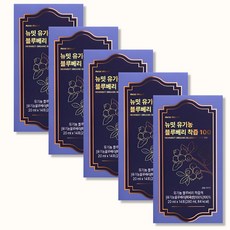 뉴밋 유기농 블루베리 착즙 100 14포, 5박스, 280ml