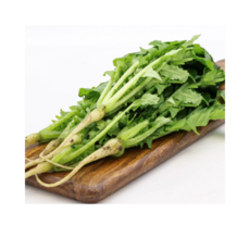 생 열무 1kg 2kg 4kg 열무김치 무침용[원산지 국산], 1개