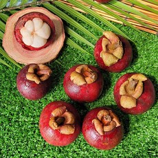 달콤한 태국산 생 망고스틴 500g 5~7과 외, 1세트